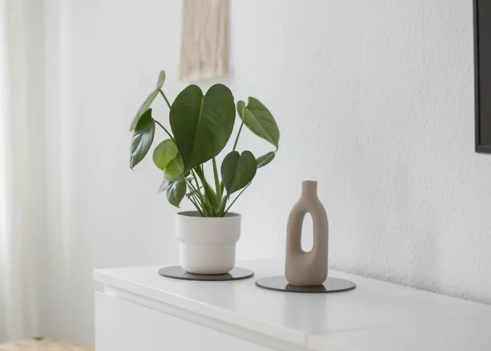 Agnes * Dessau-Rosslau